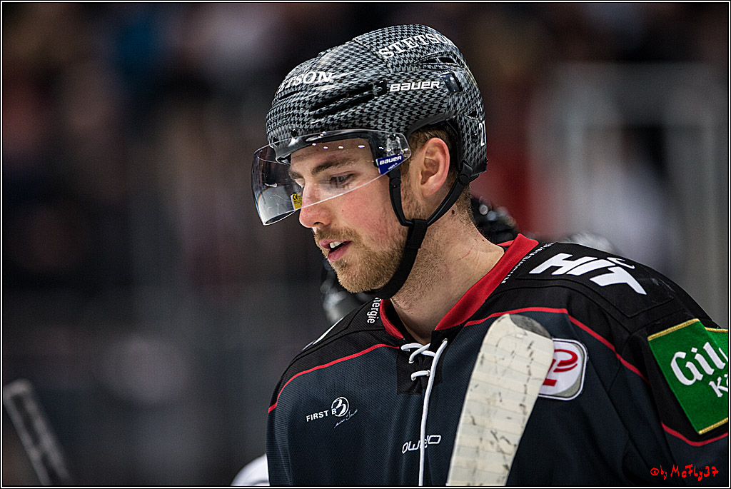 DEL, Koelner Haie - Nuernberg Ice Tiger, 24.01.2017